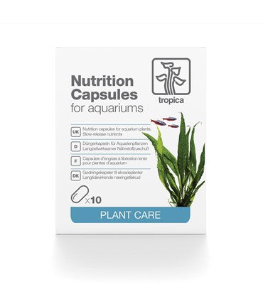 Nutritions Capsules 10pcs Capsules Engrais Sol Tropica